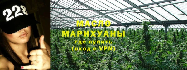 индика Абдулино